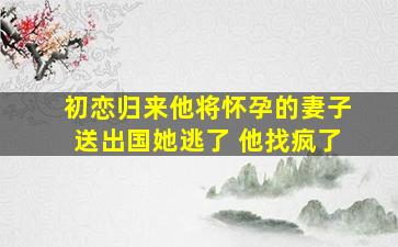 初恋归来他将怀孕的妻子送出国她逃了 他找疯了